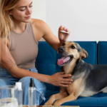 dog bite prevention tips