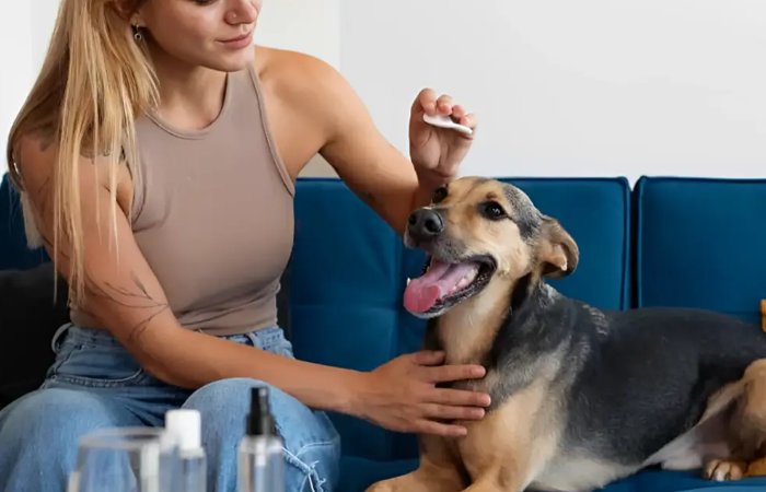 dog bite prevention tips